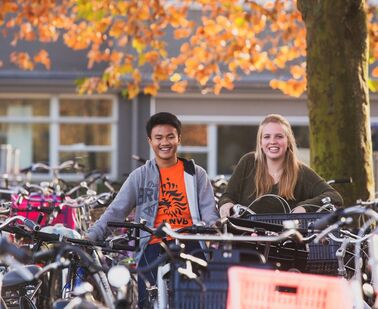 Studium v Belgii-Flandry