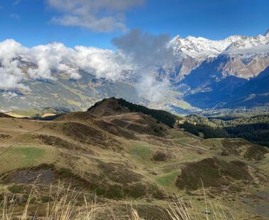 Studium ve Švýcarsku