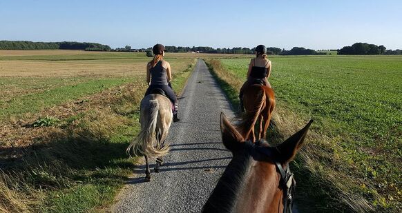 francie-adela francie-adela