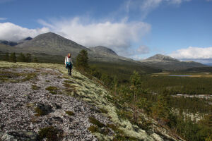 Norway - Student in scenery Norway - Student in scenery