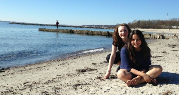 335_Denmark_2014_Stud_SummerBeachScenery
