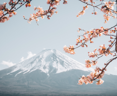 Jaké je to hostit studenta z úplné jiné kultury?