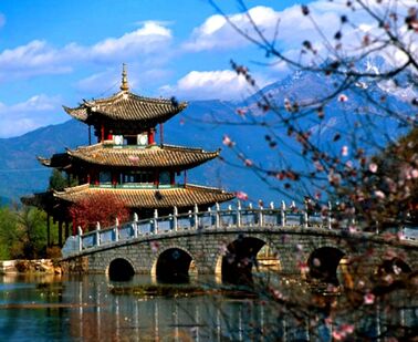 Studium v Jižní Koreji