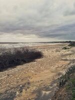 Verca_Uruguay_3
