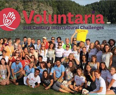 Call for the Core Team for VOLUNTARIA 2018