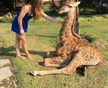 "Přes silnici tu běhají surikaty..."
