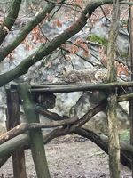 IMG-20180213-WA0022