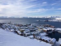 IMG_8417