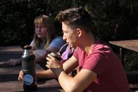 studium v zahranici