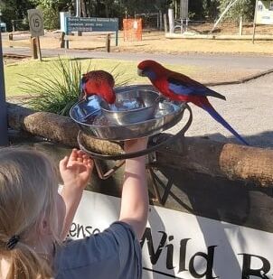 "Obdivuji, že na to mají Australané odvahu."