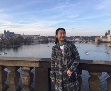 Update: Dew v České republice