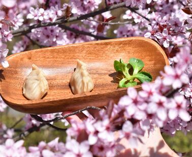 Gyoza knedlíčky (Japonsko)