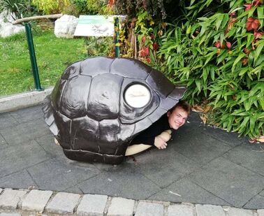 Rozdíly mezi Rakouskem a Českem