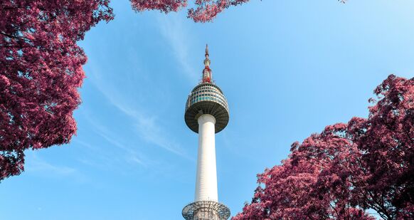 pexels-aleksandar-pasaric-2848492 pexels-aleksandar-pasaric-2848492