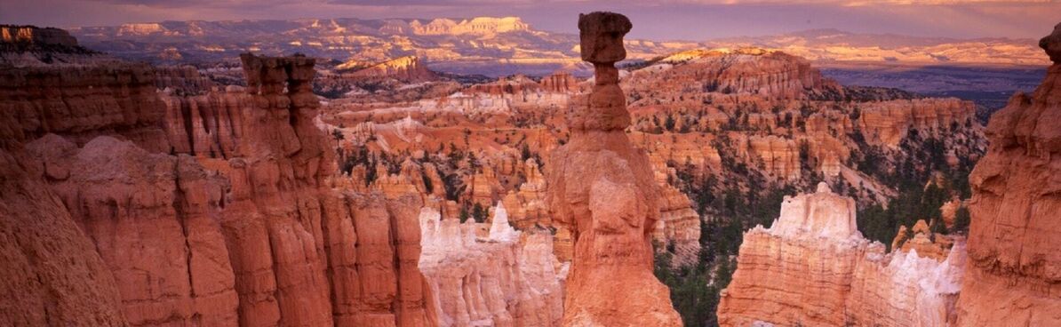 Školství v USA: Průvodce americkou střední školou