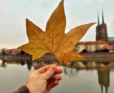 Podzimní Newsletter 2025