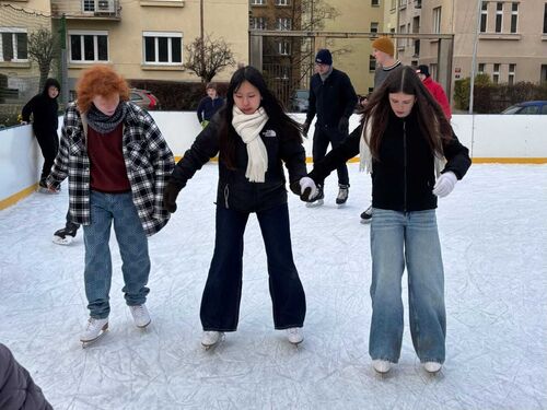 ib bruslení ib bruslení