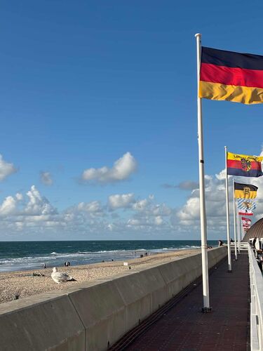 tom nemecko tom nemecko